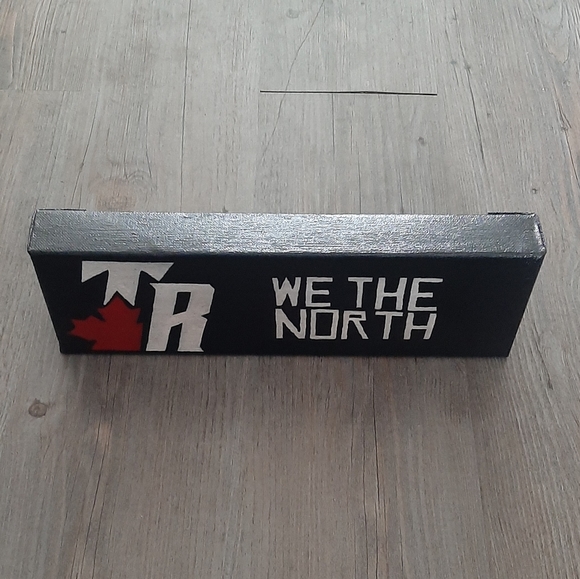 Hand Painted "We The North" Toronto Raptors TR - Picture 5 of 5
